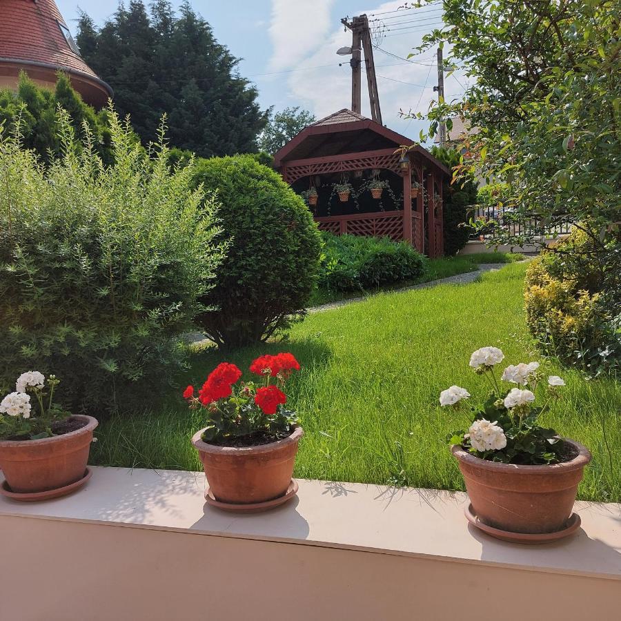 Erika Apartmanhazak Hévíz المظهر الخارجي الصورة